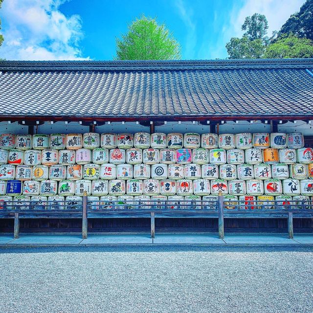 京都　松尾大社