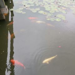 鼎福记(石皮路店) 여행 사진