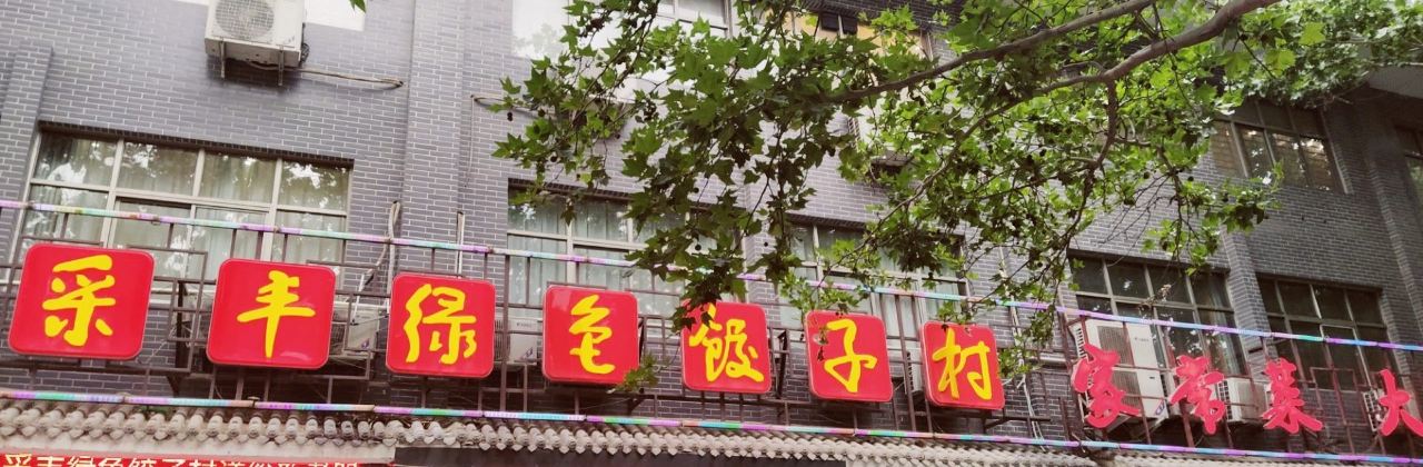采丰绿色饺子村