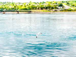 Saguenay Fjord National Park