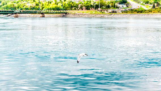 Saguenay Fjord National Park
