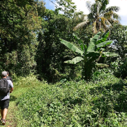 American Samoa