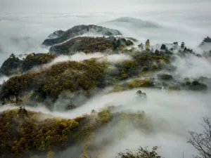 공동산
