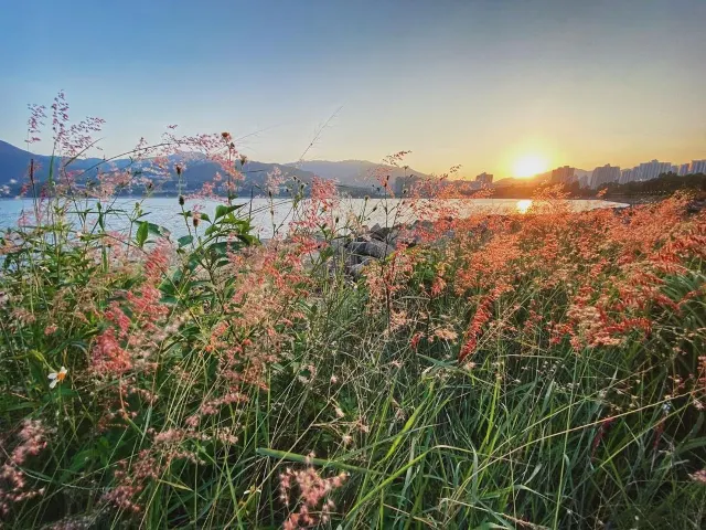 【野餐地點】12大野餐好去處 必去海景草地公園推薦