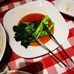 Xibeiyoumiancun (zhonghuanbailian) User Photo