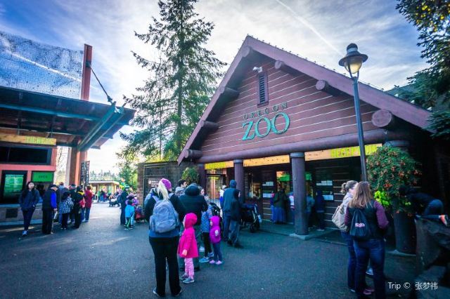 Zoo Lights in December: 9 Great Holiday Light Festivals