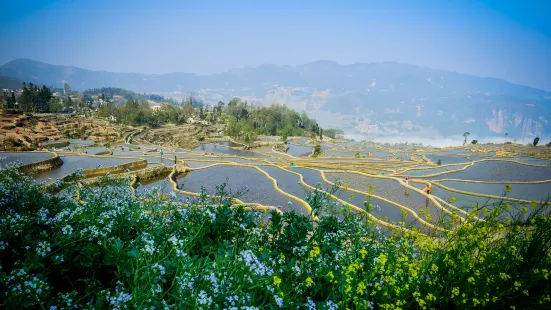 Aichunlan Terraced Field