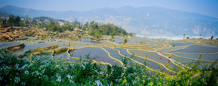 Aichunlan Terraced Field