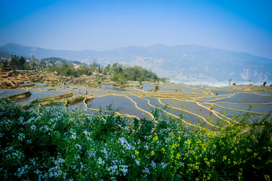 Aichunlan Terraced Field