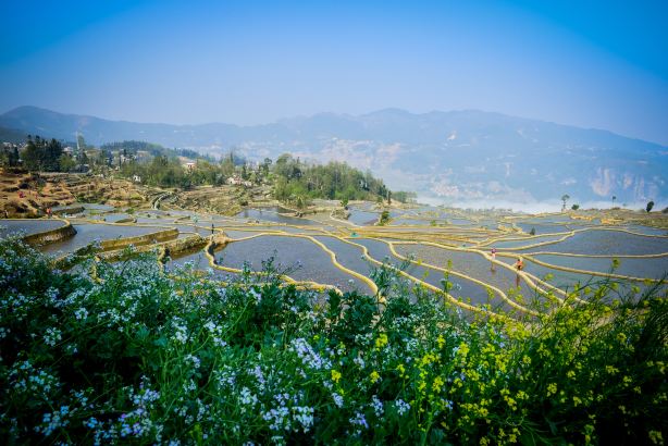 Aichun Blue Terraced Fields