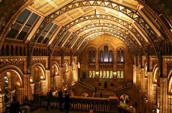 Top 5 Activities in London