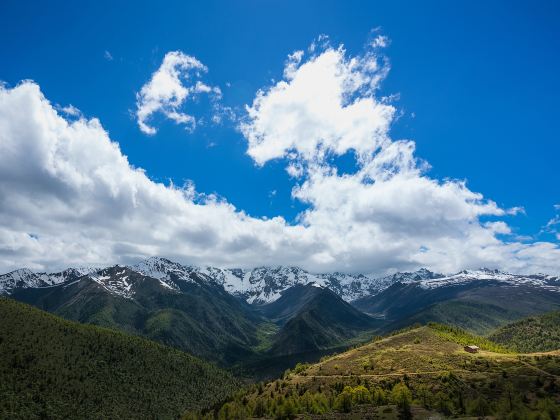 Baima Snow Mountain Yakou