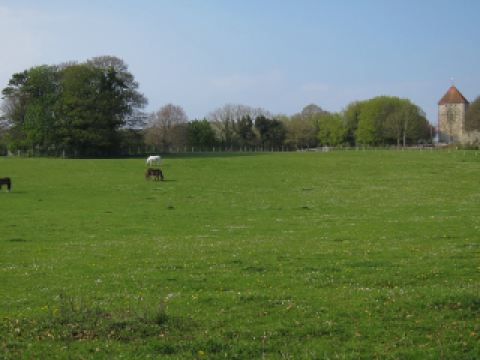 Air Algerie Oran Constantine