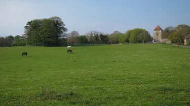 Statue Notre Dame de la paix