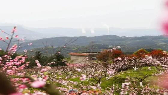 七星山鏡湖桃源