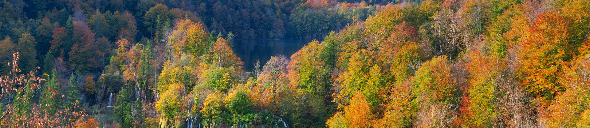 Fall Viewing Attractions