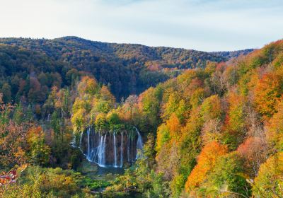 Плитвицький Лєсковаць