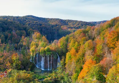 Plitvički Ljeskovac