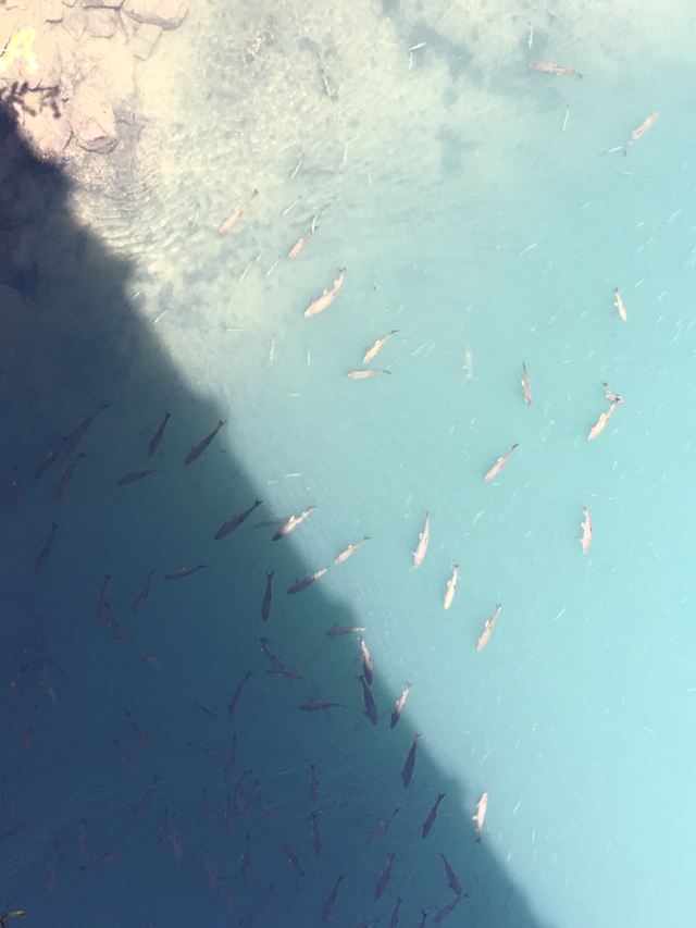 천유봉