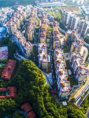 Fenghuang Mountain National Forest Park