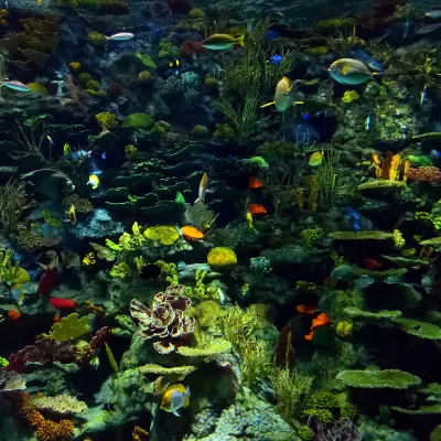 Отзывы об отеле ICONIQUE HOTEL NHA TRANG