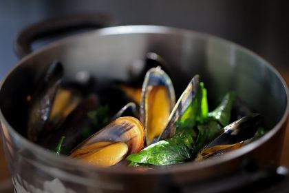 MERCADO 505 Gourmet Restaurant