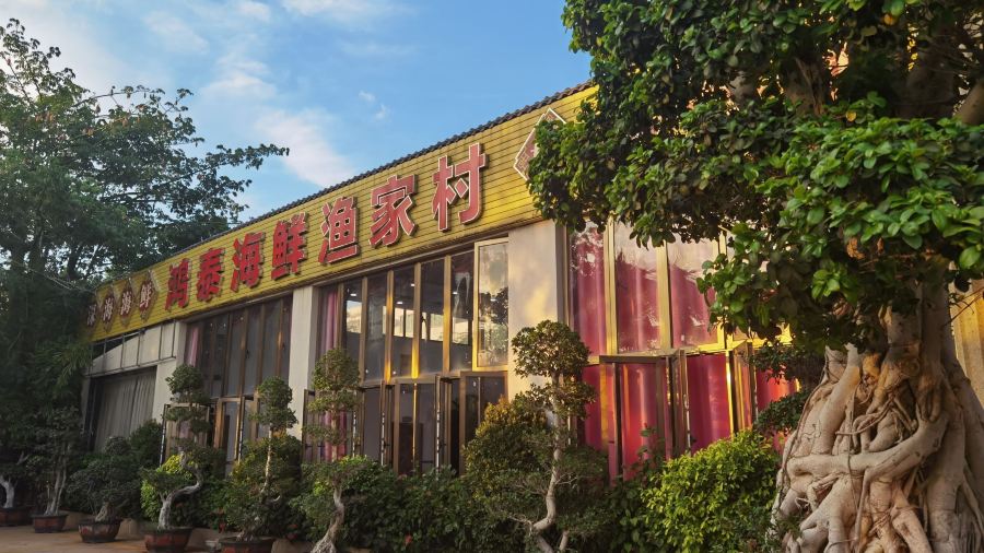 白马井鸿泰海鲜渔家村(人民路店)