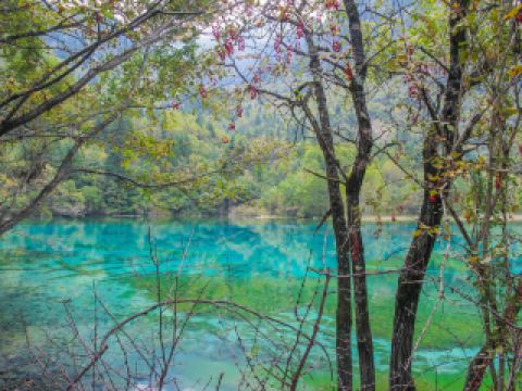 GAME88遊戲中心附近酒店