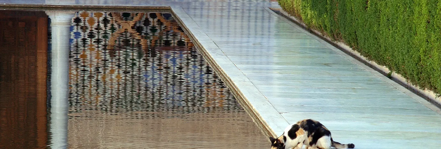 GranadaTour giornalieri