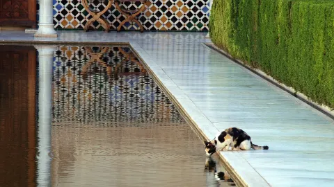 Granada travel destination
