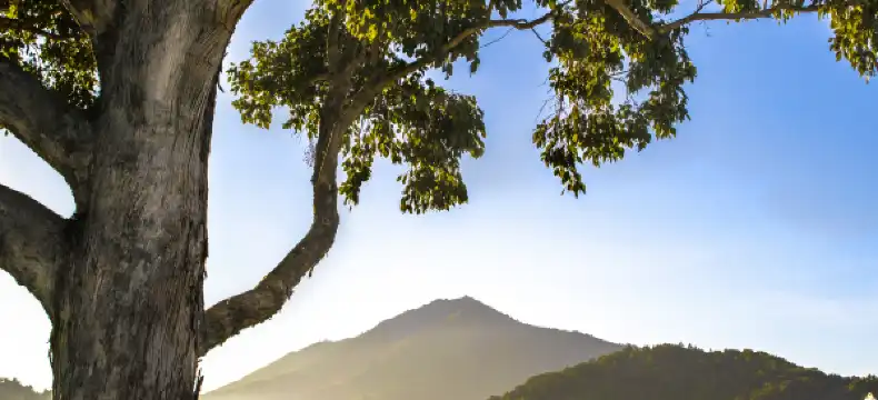 Hotels in Mill Valley