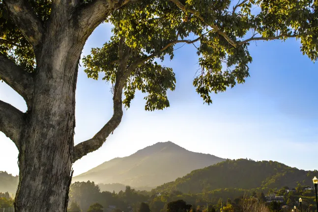 Отели рядом с достопримечательностью «Парк Раньон Каньон»