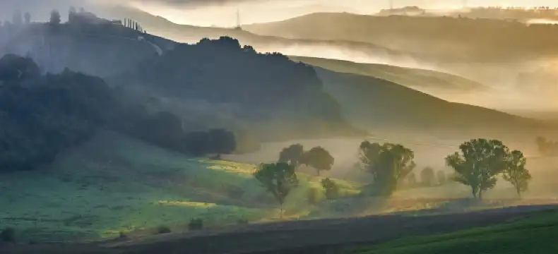 โรงแรมในกาดินา