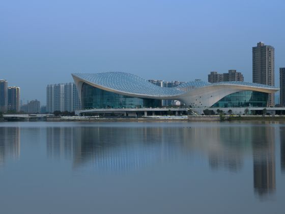 Jiujiang Gallery