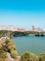 Парк водно-болотных угодий в озере Белау-