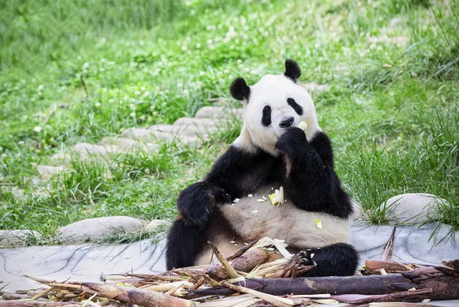 榆林好客賓館