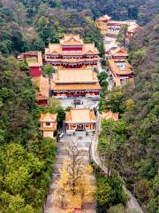Jiulong Temple