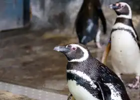 Shinagawa Aquarium