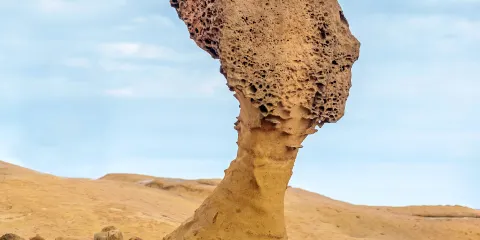 野柳地質公園門票成人
