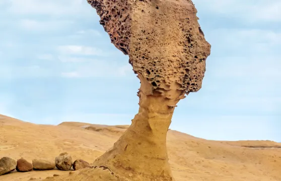 野柳地質公園門票成人