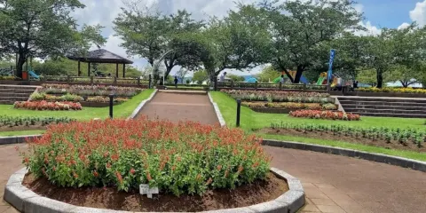 寺山いこいの広場