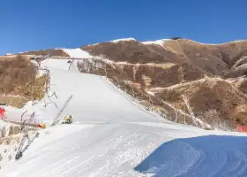 國家高山滑雪中心