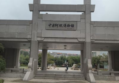 Китайский музей каучука