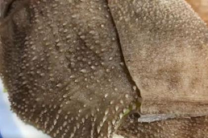 牛华小竹签麻辣烫(马路桥店)