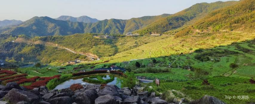 東澄村