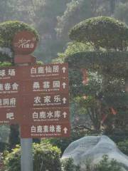 Bailuchun Tourism Resort