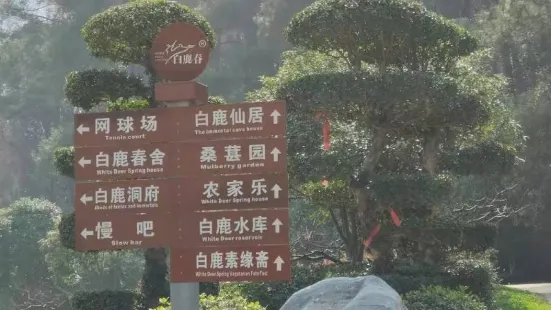 白鹿春旅遊度假區