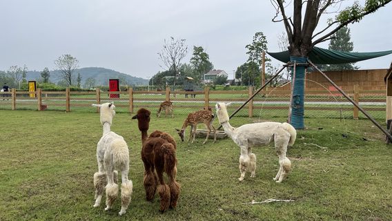 Wanshan Shi Li Changchong Parent-Child Green Paradise