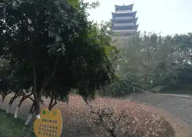 榮昌夏布非遺文化園