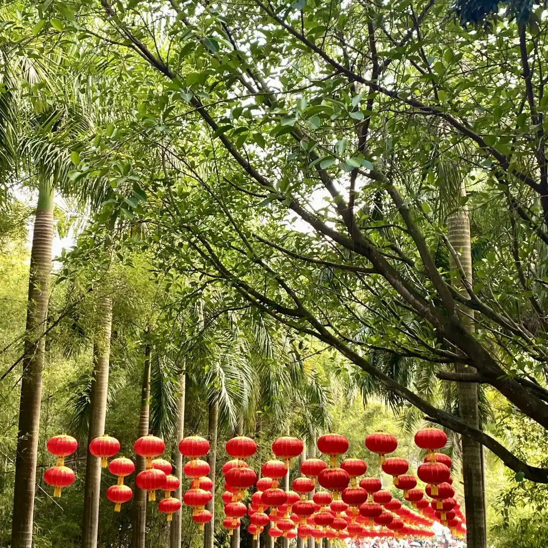 Hotels near Dawang Mountain Forest Park